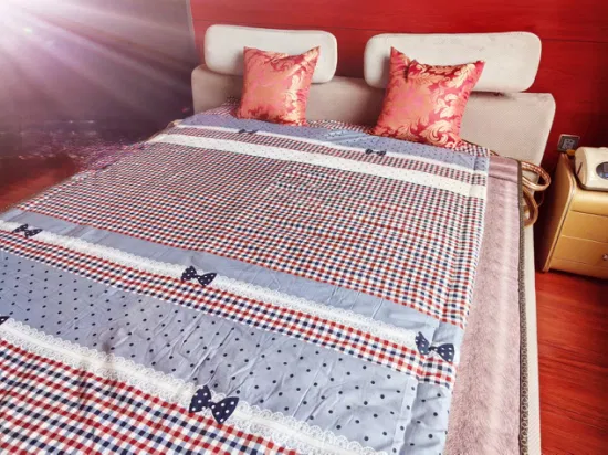 Pleasant Hot Bed Intelligent Constant Temperature Water Heating Quilt Is Heated by Special Water Heating Quilt in Winter