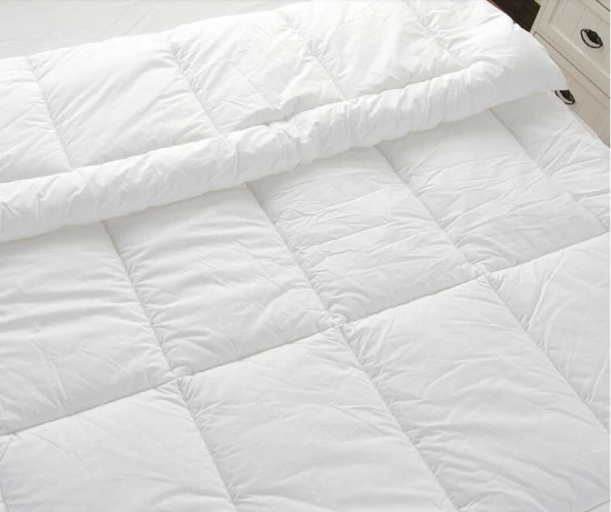 Winter White Microfiber Queen Size Polyester Filling Quilted Duvet Quilt